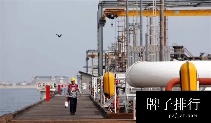 中国进口最多的10大商品 天然气榜上有名 石油位列其中