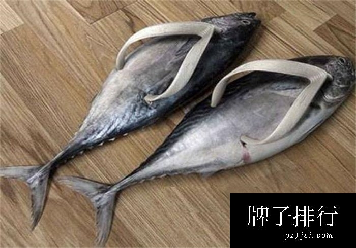 世界上最奇葩另类的鞋子 咸鱼造型鞋子