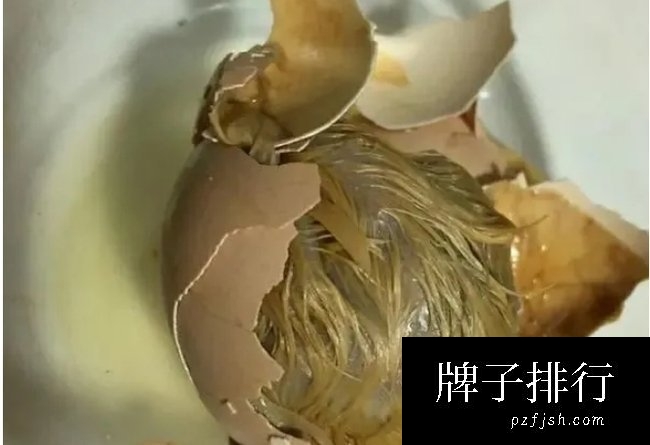 世界上最变态的食物 越南的毛鸡蛋(看着就恶心)